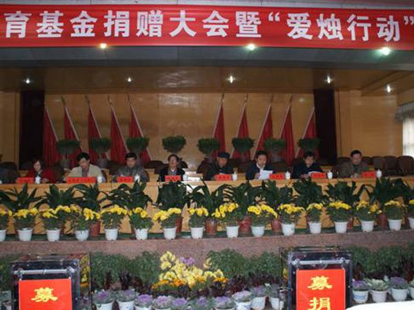 咨询热线