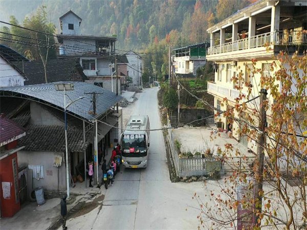 咨询热线