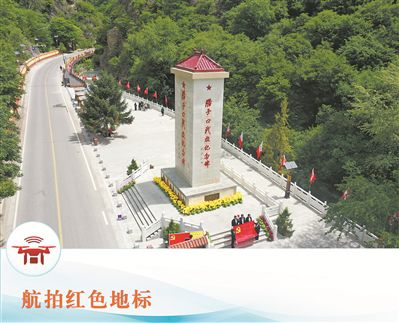 咨询热线