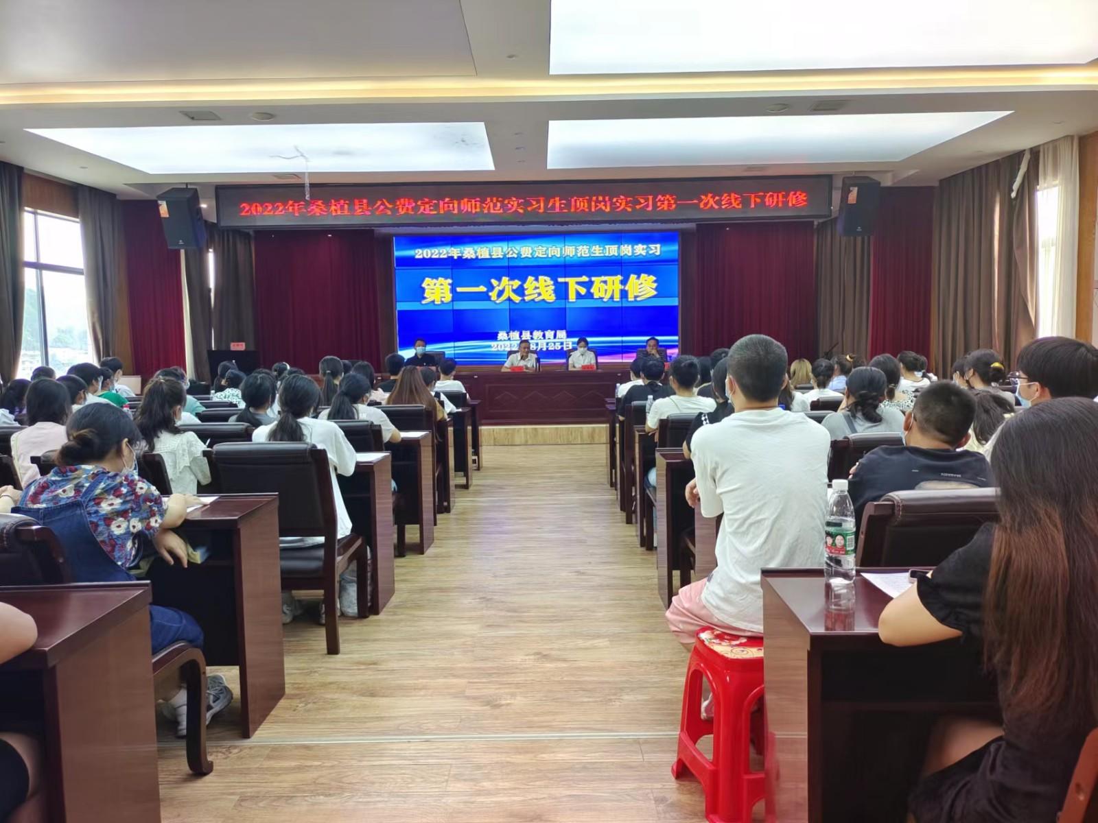 咨询热线