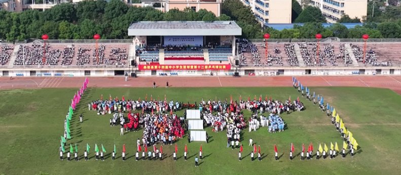 咨询热线