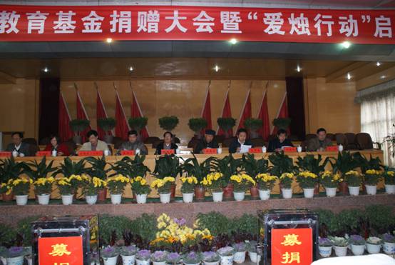 咨询热线