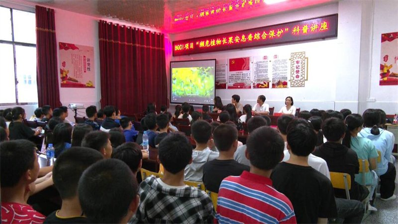 咨询热线