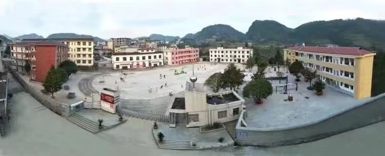咨询热线