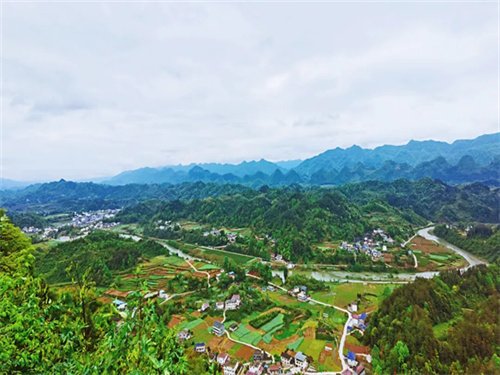 咨询热线
