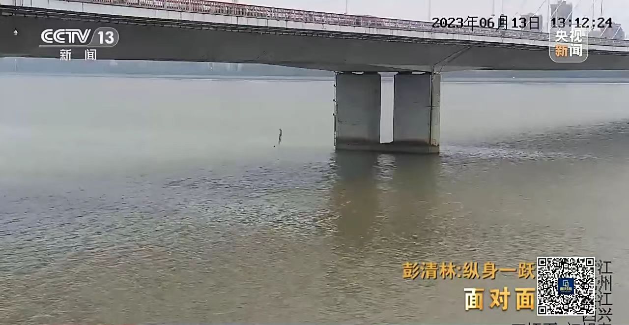 咨询热线