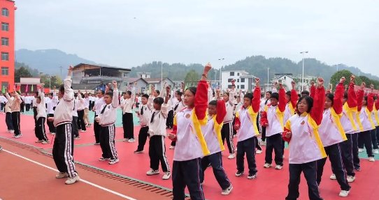 咨询热线