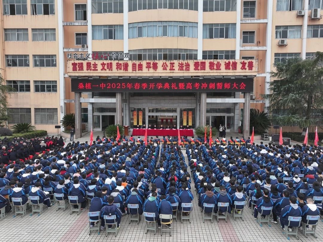 咨询热线