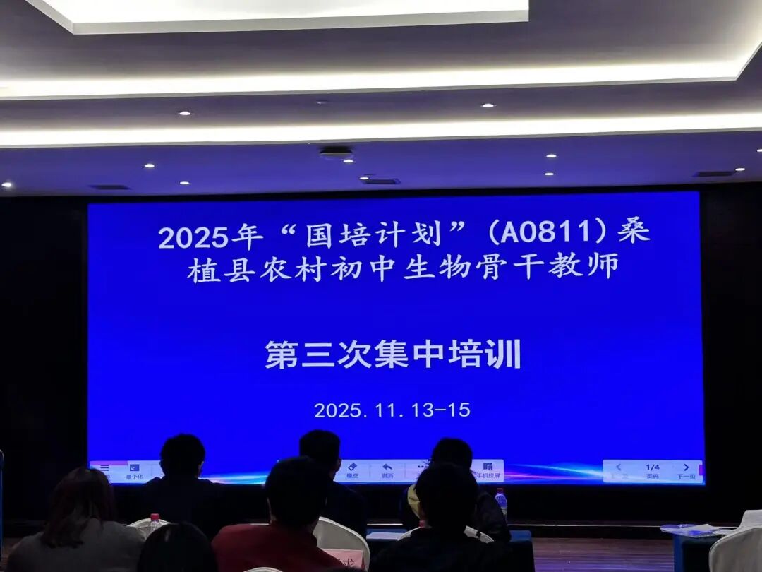 咨询热线