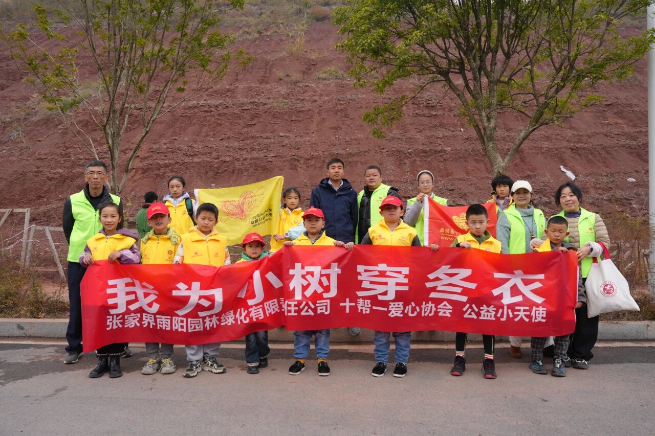 咨询热线