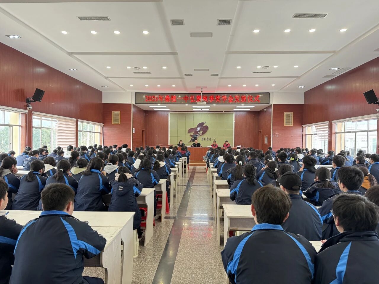 咨询热线
